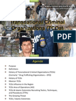 US Army Transnational Criminal Organizations TCOs