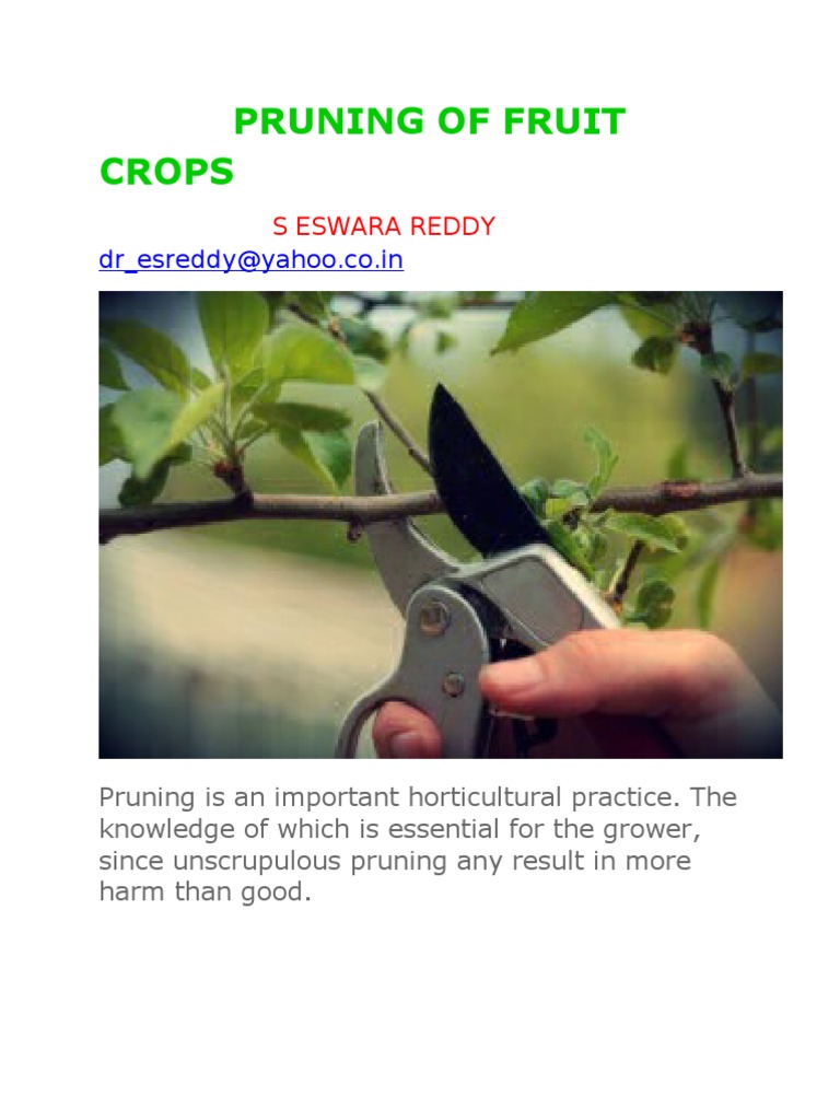 Pruning Techniques for Fruit Crops | PDF