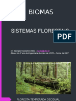 BIOMA - FLORESTAS