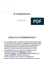 El Metabolismo