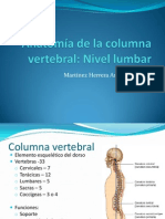 Anatomía de La Columna Vertebral