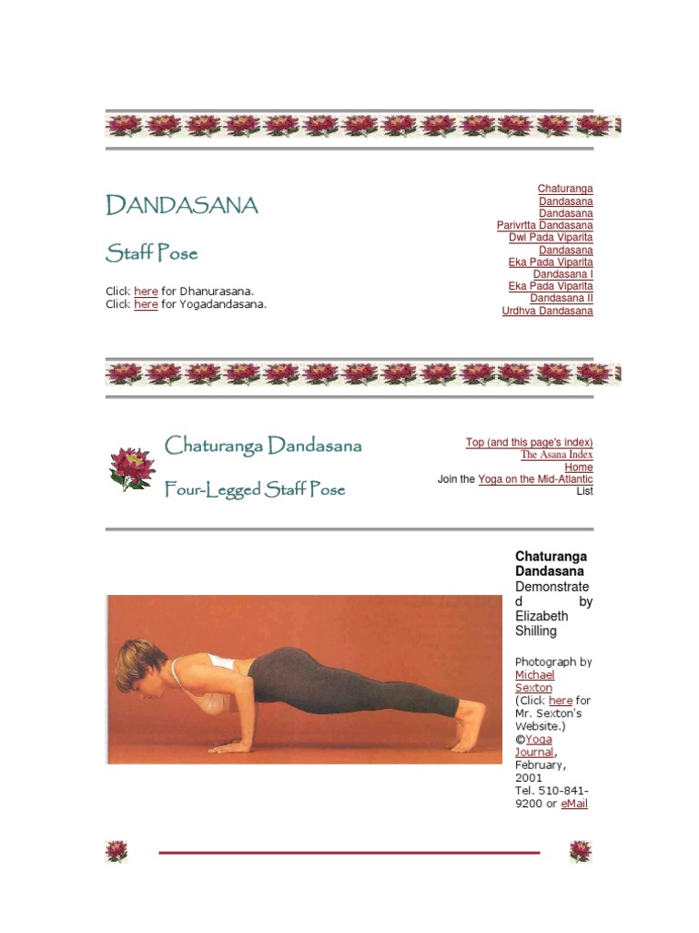 Eka Pada Chaturanga Dandasana / One Legged Four Limbed Staff Pose