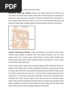 Download Fisiologi Osteoblas Dan Osteoklas by Ryan Prasdinar SN155262932 doc pdf