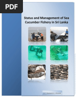 Download Sea Cucumber by Padma Ranasinghe SN155268906 doc pdf