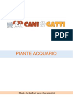 Piante Acquario