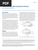Download Terrestrial Snails Aff Ecting Plants in Florida by Rukia Sereitei SN155278878 doc pdf