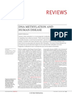 DN Methylation and Disease