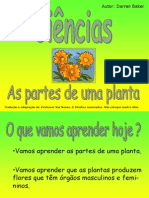 Plantas Partes