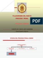 FLUJOGRAMA DE ETAPAS EN EL NCPP.ppt