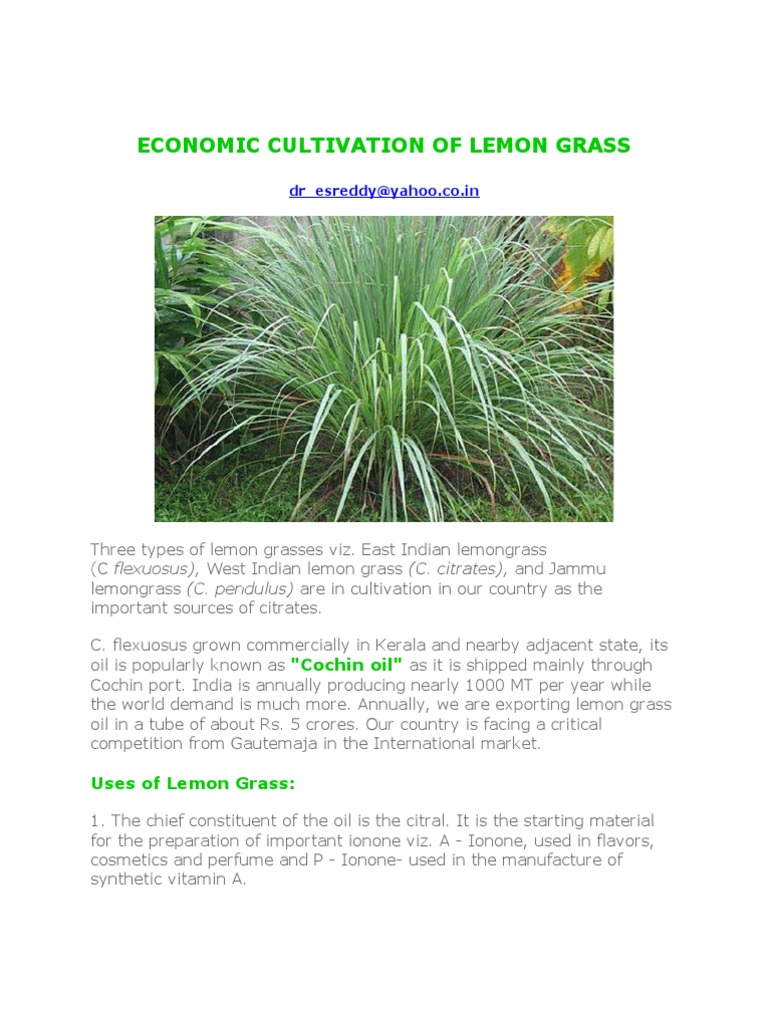 Economic Cultivation of Lemon Grass | PDF | Sowing | Soil