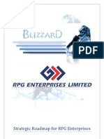 RPG Enterprises Group Strategy PDF