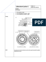 laboratorní práce bio