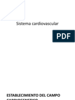 Formacion Del Sitema Cardiovascular