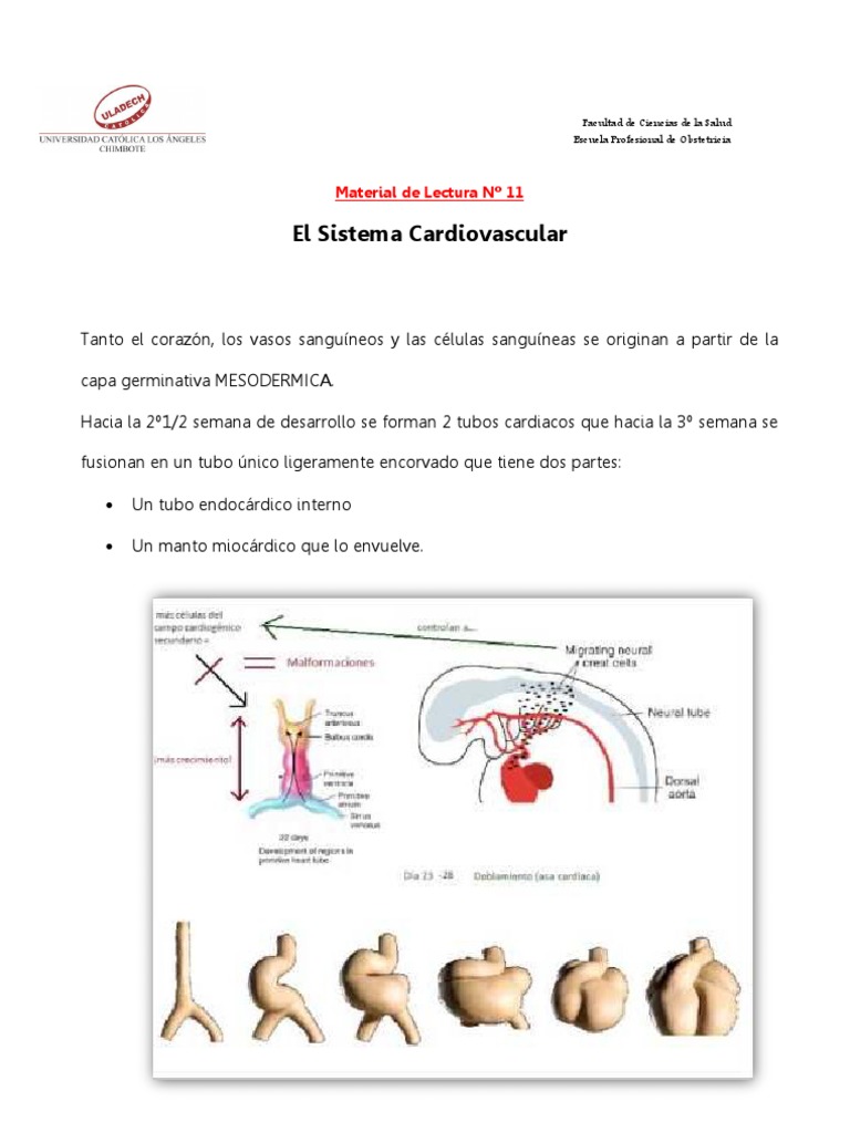 Guía Astrológica Para Corazones Rotos Pdf Gratis