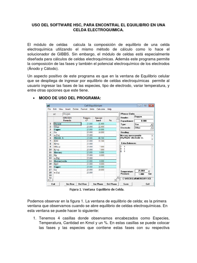 Uso del Software HSC en Celdas Electroquímicas | PDF | Electroquímica ...