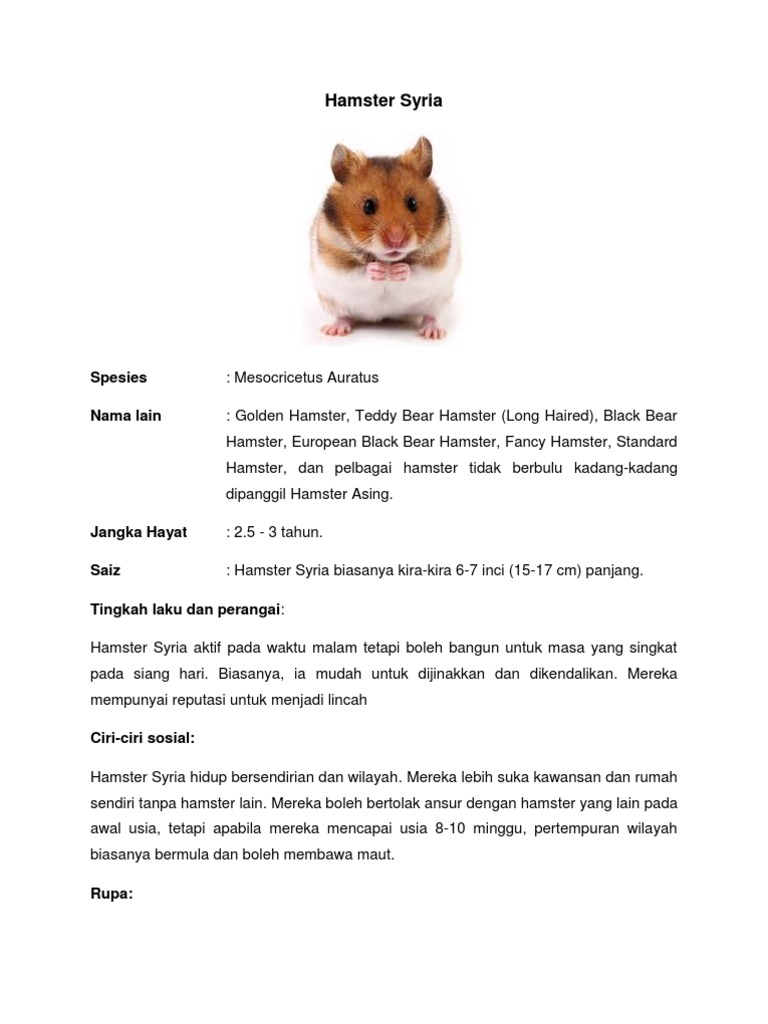 Jenis Hamster Yang Dipelihara Pdf