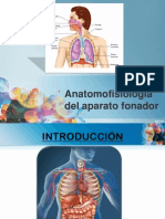 Anatomofisiología del aparato fonador