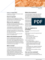 Application PDF