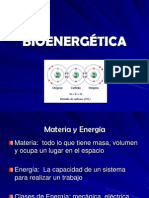 07 Bionergética