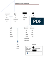 Natasha Bynaum Genogram: Symbol Key