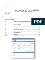 Introduction To Openppm