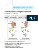 Systeme Nerveux