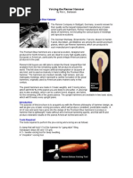 Maestro Peter Goldsworthy Ebook Torrents