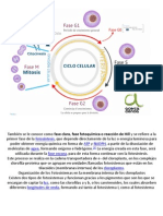 Biologia