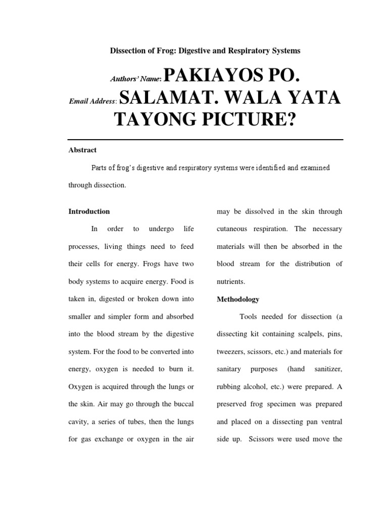 Digestive system essay pdf image