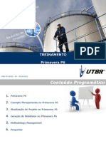 Treinamento Primavera Avançado.ppt