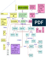 Mapa Conceptual Ácidos Núcleicos