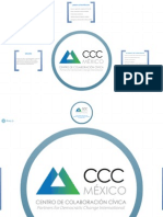 CCC Misión, Lineas y Acuerdosddd