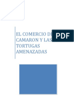 Caso Del Camaron