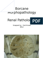 BorcaneRenal