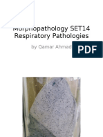 Morphopathology SET14 Respiratory Pathologies: by Qamar Ahmad