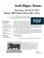 Claybrook Bull Flyer-UPDATED