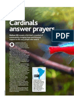 PFK Cardinal - Piaba Aug 2013