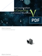 Gamma Correction and Linear Workflow