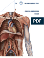 Anatomia Corpului Uman Toteanu Cristina