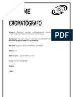 Informe Del Cromatografo de Gases