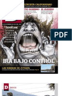 Revista D PDF