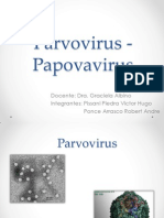 Parvo Virus