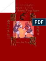 Kung Fu Hung Gar Tiger-Crane-Free-Unprotected