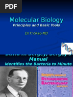 Molecular Biology