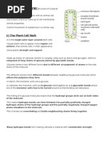 AS Biology Unit 2 Topic 4 Notes Study Revision Guide Summary Edexcel Practice Biodiversity Plant Cell Organelles