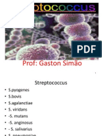 Figura Streptococcus 2013 AULA