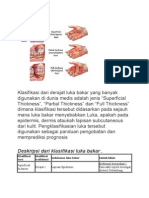 Klasifikasi Luka Bakar Menurut Kedalaman dan Prognosis