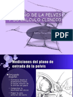 TAMAÑO DE LA PELVIS Y SU CALCULO CLINICO.pptx