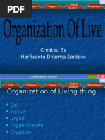 Download Presentation About Cells by harfiyanto SN1555992 doc pdf