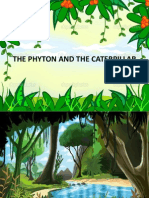 The Phyton and The Caterpillar